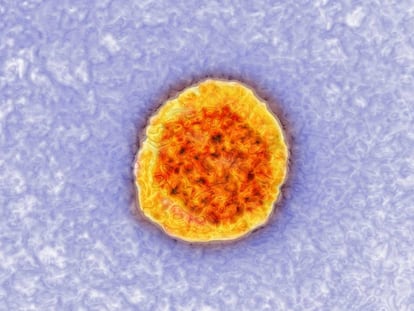 Imagen tomada con un microscopio del virus de la hepatitis C.