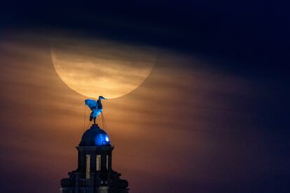 La superluna azul, tras el Royal Liver Building de Liverpool, en el Reino Unido, el 30 de agosto. 