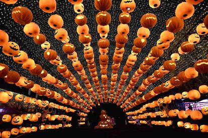 Visitantes caminan en un espectáculo de calabazas frente a un centro comercial con motivo del Halloween en Shenyang, al noreste de la provincia de Liaoning (China), el 24 de octubre. 
