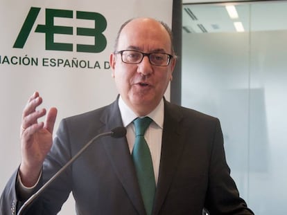 El presidente de la Asociaci&oacute;n Bancaria Espa&ntilde;ola, Jos&eacute; Mar&iacute;a Rold&aacute;n