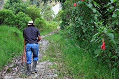 Tras la victoria del ‘no’ en la consulta popular, Eder pudo volver a trabajar su finca sin ver un enorme agujero en la montaña vecina y satisfecho porque, como él mismo afirma: “Yo ya hice algo útil por esta humanidad”.