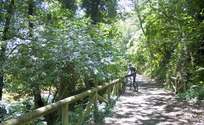 Un ciclista en la Senda del Oso, en Asturias.