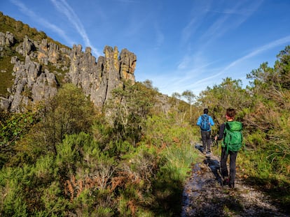 Unos excursionistas paseando por la reserva de Saja, en Cantabria.
