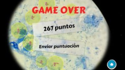 Pantalla del juego Tuberspot, con los puntos obtenidos tras identificar bacilos de la tuberculosis.