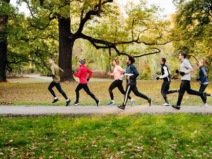 A group of runners might be creating neurons as they run.