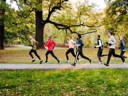 Un grupo de corredores compiten entre sí en un paseo peatonal en el parque.