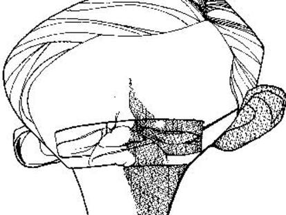 Caricatura de William Sullivan