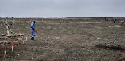 Un desminador busca minas en uno de los campos que, hasta la nueva guerra, separaban las líneas de ambos bandos.