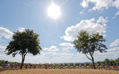 Vista general del pelotón, en un momento de la cuarta etapa del Tour de Francia.