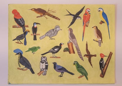 Ilustración de algunas de las más de 300 especies de aves que habitan el territorio indígena awajún.