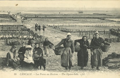 Postal antigua de Cancale que ilustra la vida del pueblo en el siglo XIX y que revela la importancia del trabajo femenino en el triaje.