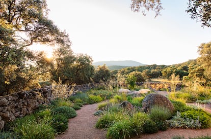 El paisajista español Fernando Martos, a través del uso de especies nativas mediterráneas, logró integrar perfectamente este jardín en la dehesa que lo rodea.
Fotografía: Claire Takacs.