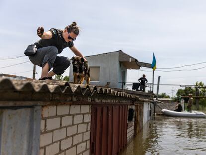 Una voluntaria rescata a un perro atrapado en el tejado de una vivienda en Jersón, este viernes.