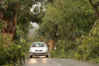 La tormenta Delta azota Canarias