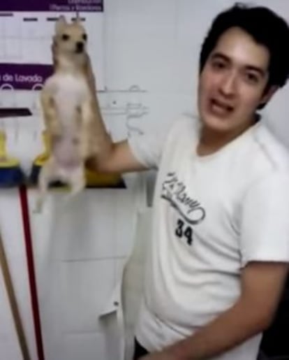 Captura de pantalla del vídeo en el que el joven golpea al cachorro.
