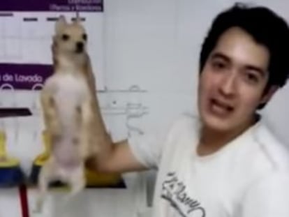 Captura de pantalla del vídeo en el que el joven golpea al cachorro.