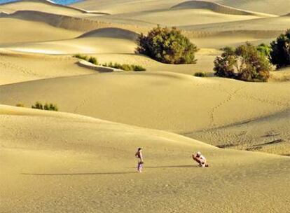 Las Dunas de Maspalomas ocupan unas 328 hectáreas de terreno en el sur de Gran Canaria.