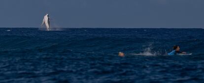 Una ballena salta sobre el agua mientras la brasileña Tatiana Weston-Webb y la costarricense Brisa Henessy compiten en la semifinal de surf en Teahupo'o, Polinesia Francesa