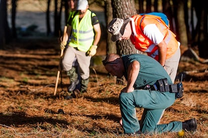 Efectivos de la Guardia Civil y Protección Civil durante un dispositivo de búsqueda de personas en Galicia en 2019.