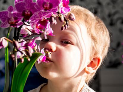 Portrait of a little red-haired boy with a purple orchid near the window with bright, sunlight