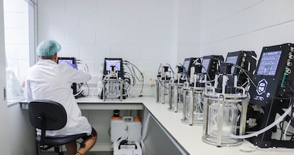 Un científuco monitoriza biorreactores del laboratorio MOA Foodtech, en Navarra en julio.