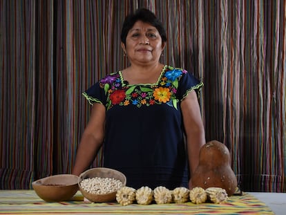 Leydy Araceli Pech, indígena maya mexicana, ganó el Premio Goldman 2020.