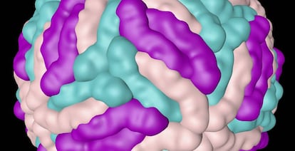 Representación por ordenador del virus que causa el dengue.