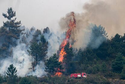 Incendio forestal activo este sábado cerca de Carballal en la Sierra de O Courel, Lugo. La ola de calor, con temperaturas extremas, y las tormentas con rayos registradas en la noche del jueves al viernes han recrudecido los incendios forestales en Galicia, donde los fuegos más grandes en alrededor de una decena de municipios dejan ya esta semana, según las estimaciones provisionales, más de 4.000 hectáreas arrasadas.