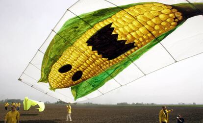 Activistas de Greenpeace durante un acto de protesta contra el cultivo de ma&iacute;z transg&eacute;nico de Monsanto. 