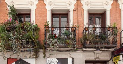 Taller 'Mi balcón: un jardín en menos de 1 m2' de La Casa Encendida