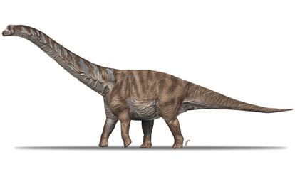 Reconstrucción del titanosaure Abditosaurus