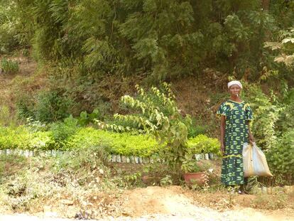 Una mujer cuida una plantación en las orillas del río Níger.
