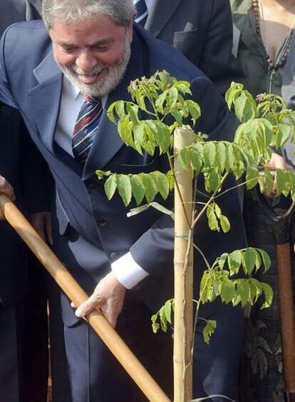 Lula siembra un árbol durante una ceremonia de revitalización del Bosque de los Constituyentes, en Brasilia, en conmemoración de los 20 años de la Constitución.