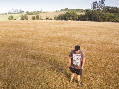 El ganadero David Botana en el campo de pastos donde alimenta a sus vacas