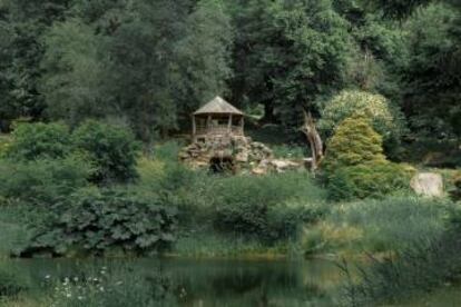 Bosque que rodea el castillo de Chatsworth.