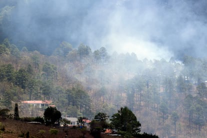 Un incendio forestal en el departamento de Francisco Morazán, Honduras, el 15 de abril de 2024.