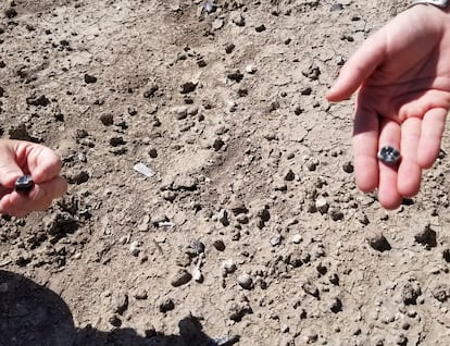 Dientes de australopiteco hallados en Ledi-Geraru (Etiopía) el 14 de febrero de 2018.