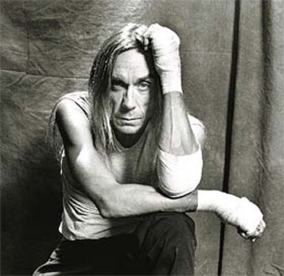 Iggy Pop.