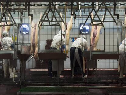 Un grupo de trabajadores en un matadero de cerdos en la provincia de Huesca