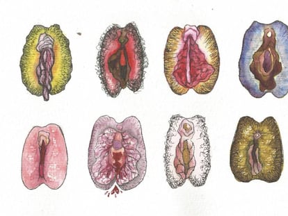 Anatomia de uma intimidade confusa: quando uma vagina normal se transforma num complexo