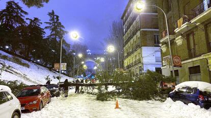 Un árbol yace sobre la calle Segovia, este domingo. Al fondo, el viaducto de la calle Bailén.