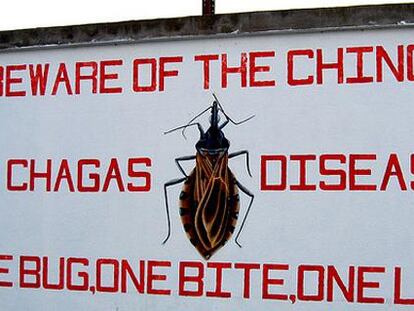 Nace la Coalición Internacional Contra el Chagas