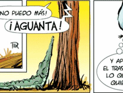 RAMÓN