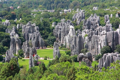 El Bosque de Piedra en Yunnan.