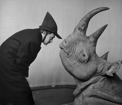 Dalí frente a una cabeza de rinoceronte disecada, en un programa de la televisión CBS, en 1956.