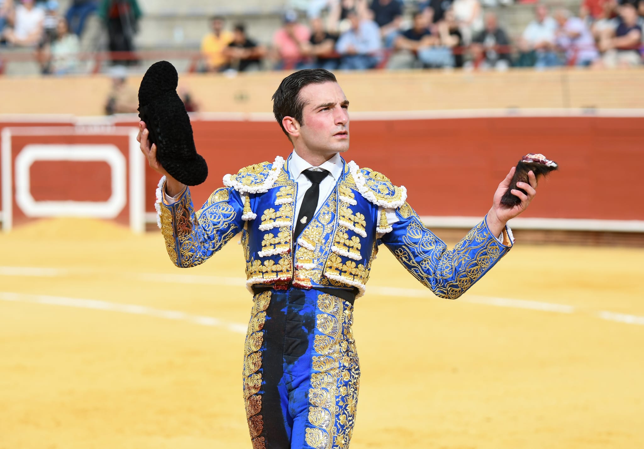 Toros y toreros destacados en San Isidro estarán en la feria de Albacete