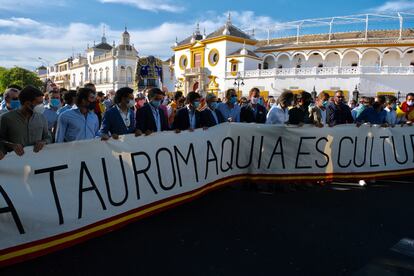 Cabeza de la manifestación celebrada en Sevilla.