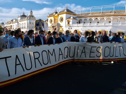 Cabeza de la manifestación celebrada en Sevilla.