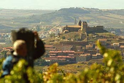 La vendimia avanza en un viñedo de San Vicente de la Sonsierra, un pueblo riojano de la ribera del  Ebro, a unos 20 kilómetros de Laguardia y a 36  de Logroño.