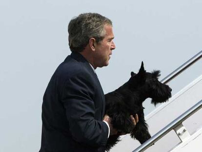 El presidente estadounidense George Bush, con su perro 'Barney'.